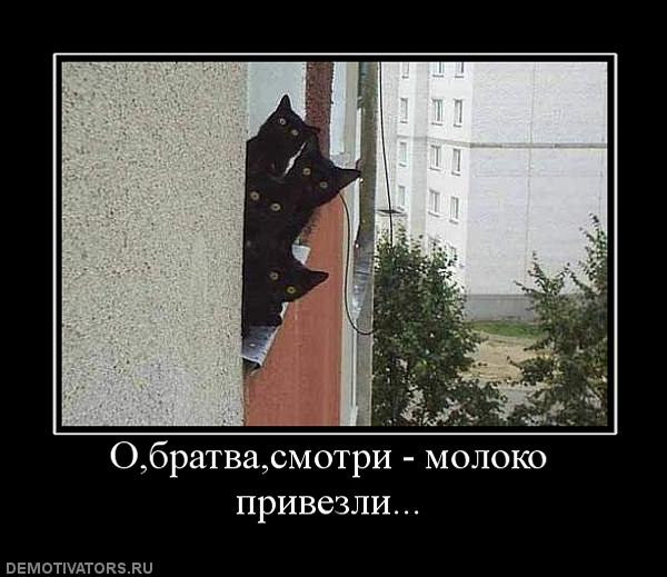 715b78c3810d436bd2564526a72.jpg