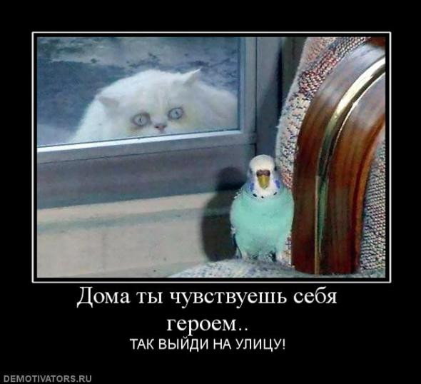 16517aa244784d25f2d7aeb1957_prev.jpg