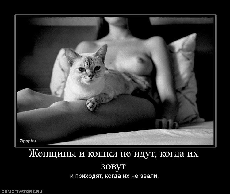 186144ea2449ae31d892ef46604.jpg