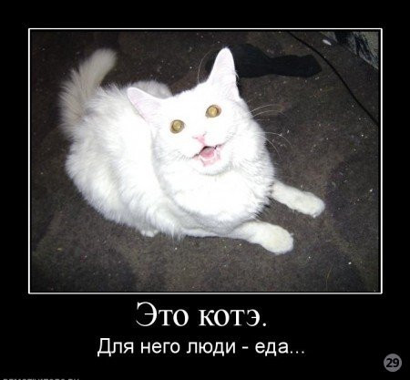 1269722166_1.jpeg