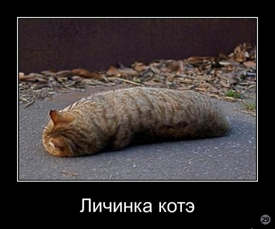 1269722211_441569-2009.12.15-07.40.20-cote.jpg