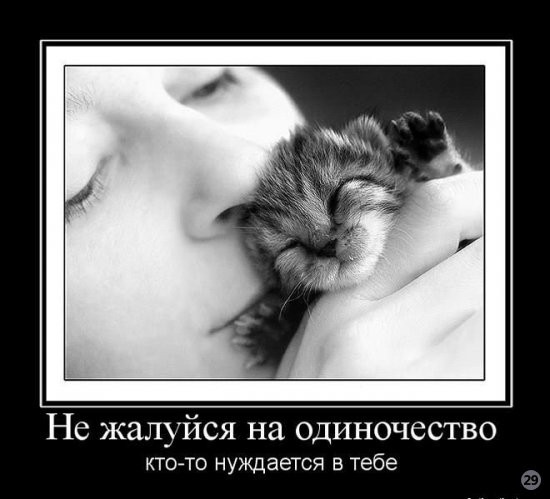 1269722238_1260985566_demotivator_life_20.jpg