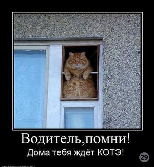 1269722267_838809_voditelpomni.thumbnail.jpg