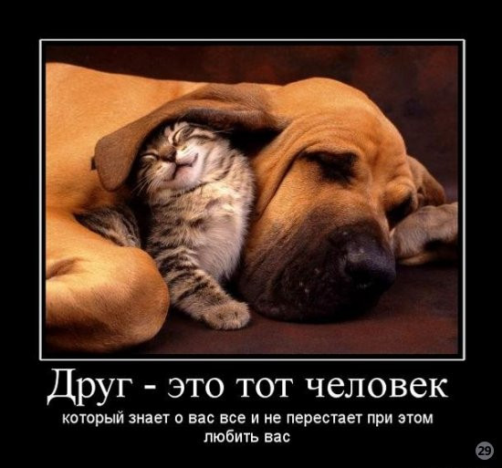 1269722320_1263222728_demotivator_drujba_15.jpeg
