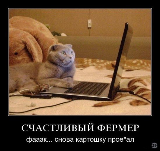 1269722343_demotivators_48.jpg