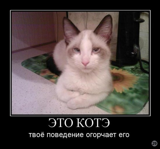 1269722380_tmpykclk8.jpeg