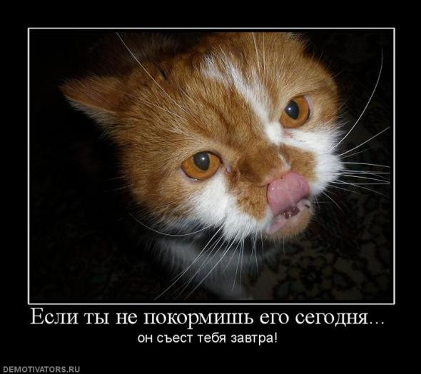 a29e8485cf15a2cc28bce7ea4ae_prev.jpg