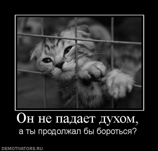 b996e5c4038cd55f743554ca694.jpg