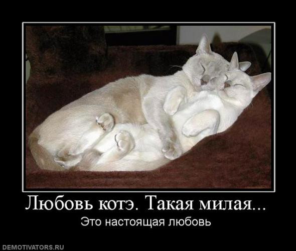 f3aaf398714c1859ec2f328d579_prev.jpg