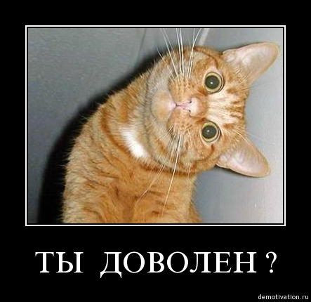f74a9194e18bfc0a9afbafd3872.jpg