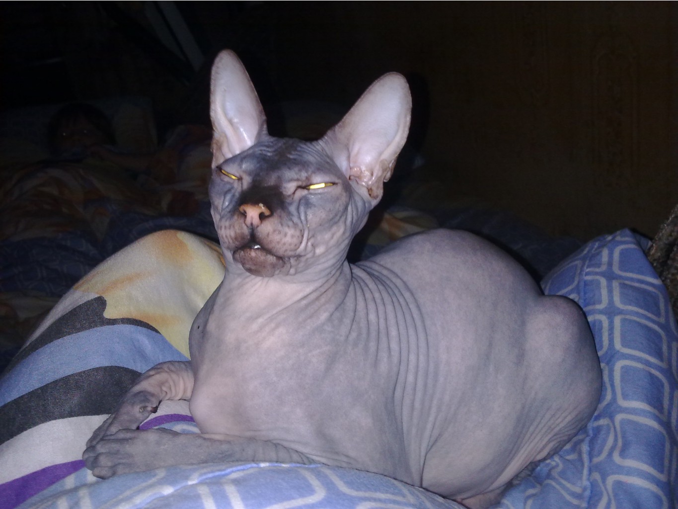 28092011497.jpg