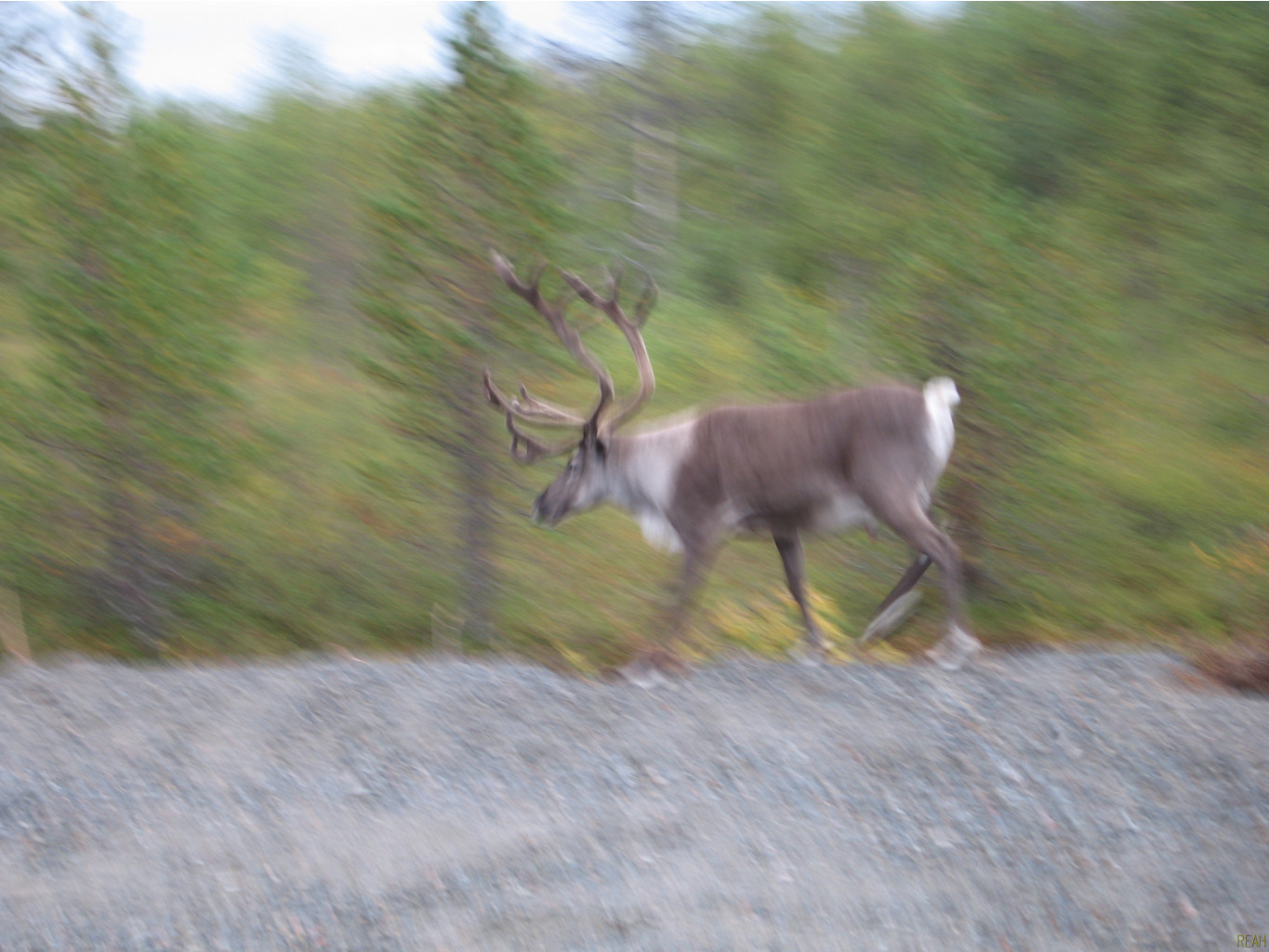 Norge 2011_2939 .jpg