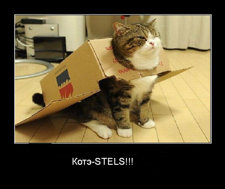 stels.JPG