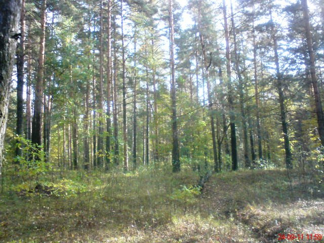 DSC00225.JPG