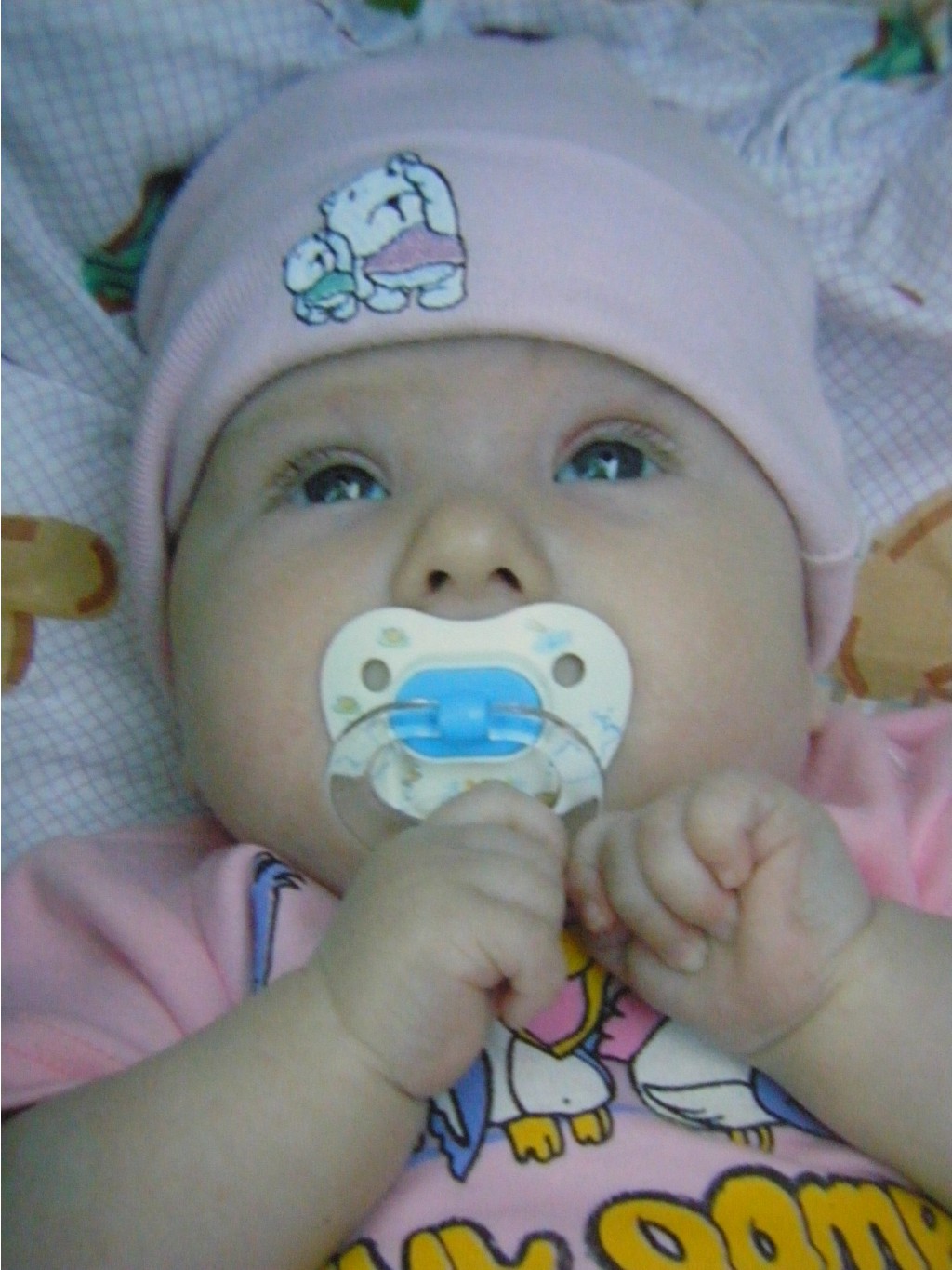 P1010221.JPG