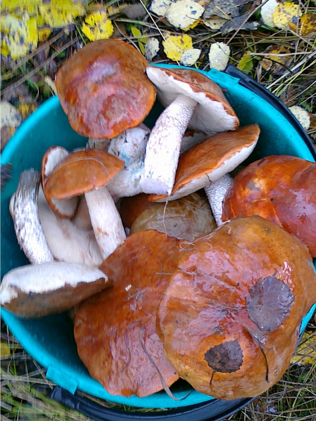 01102011657.jpg