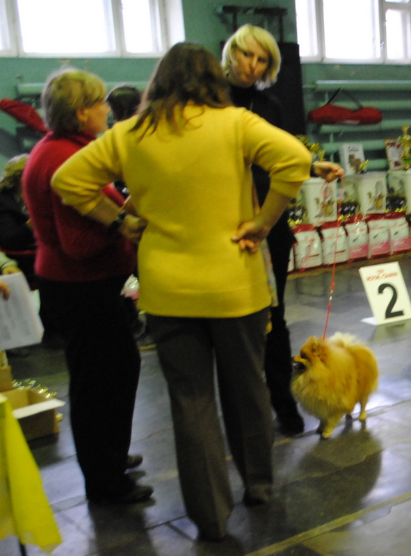 DSC_1768.JPG