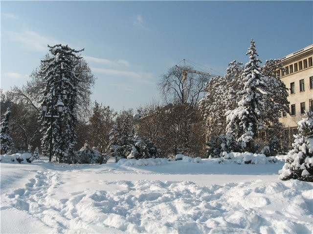 8f251ebf1a37.jpg