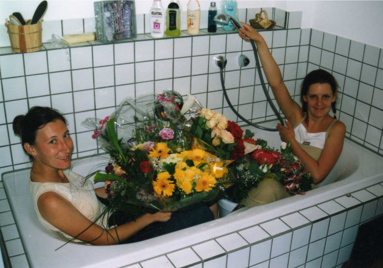   2004 