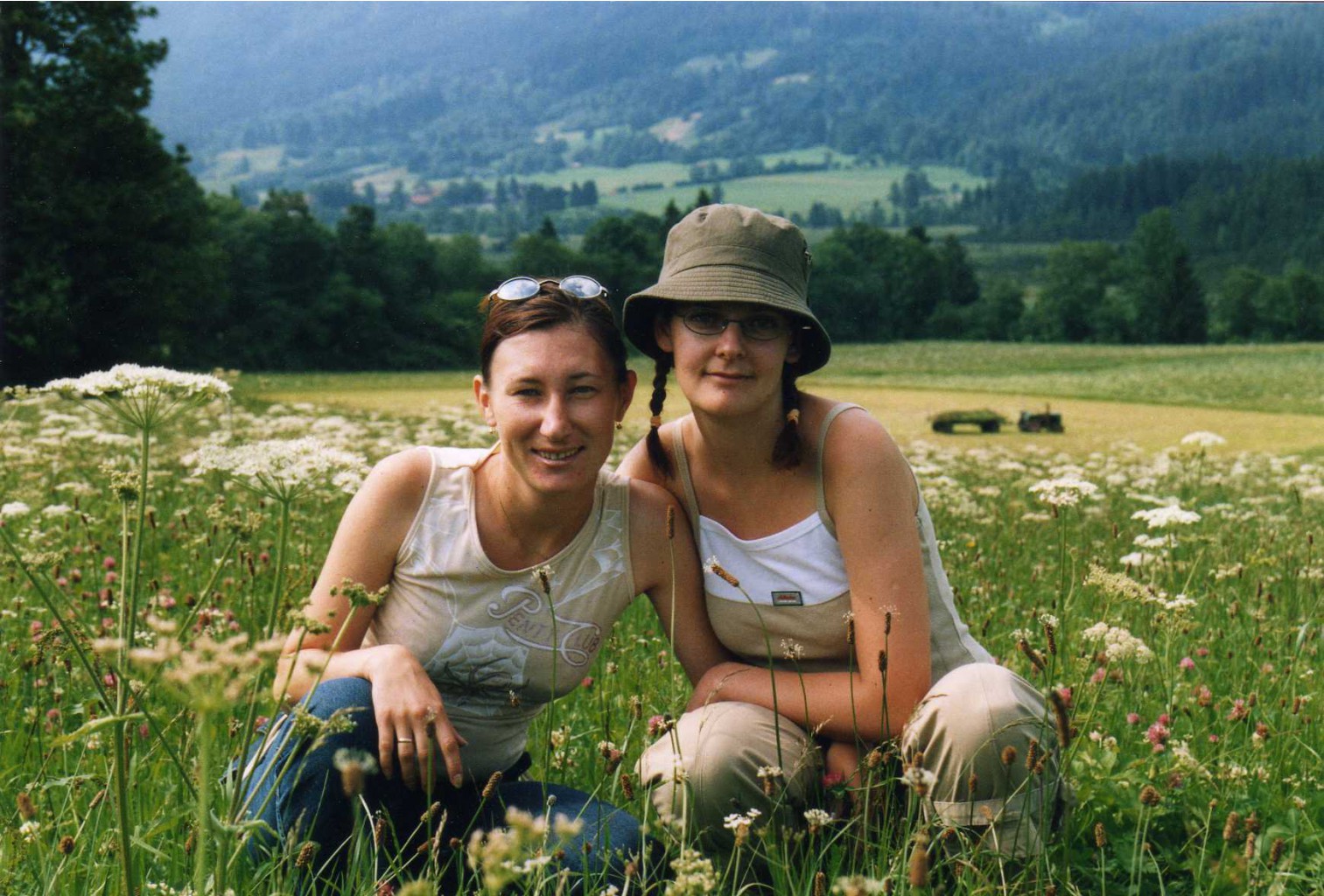   2004 
