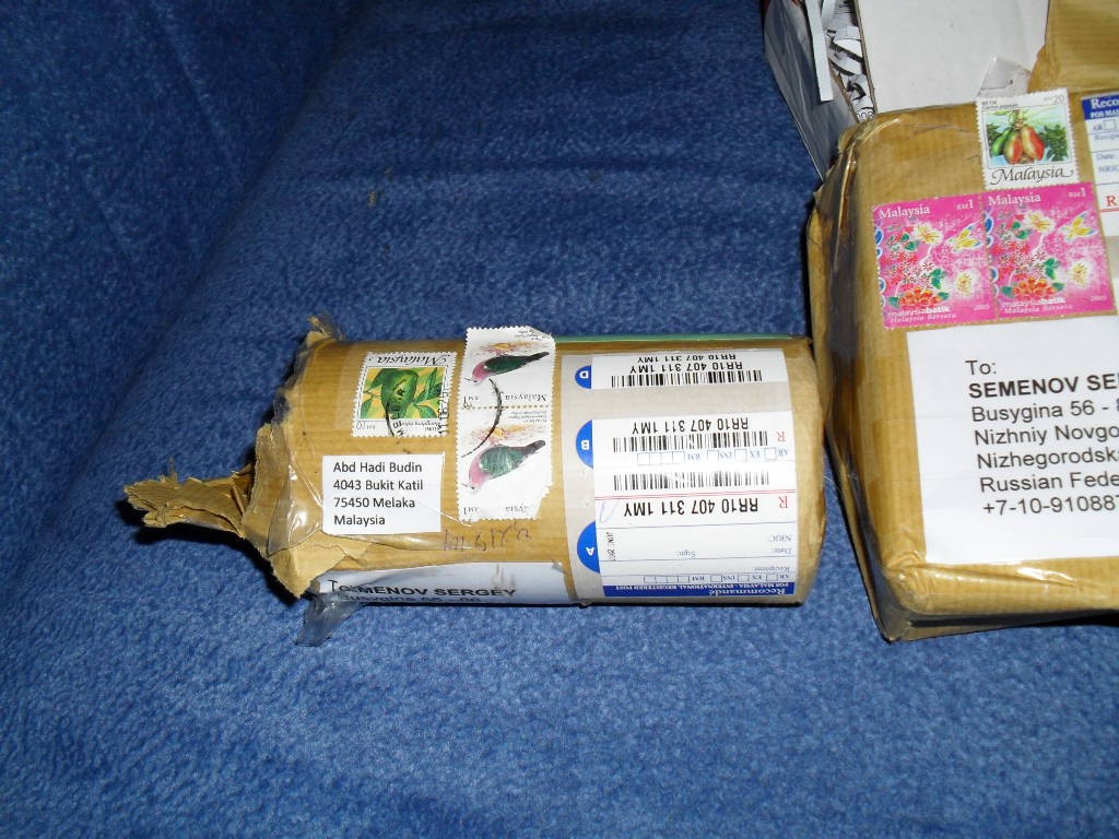 29.07.2010 8:31:27