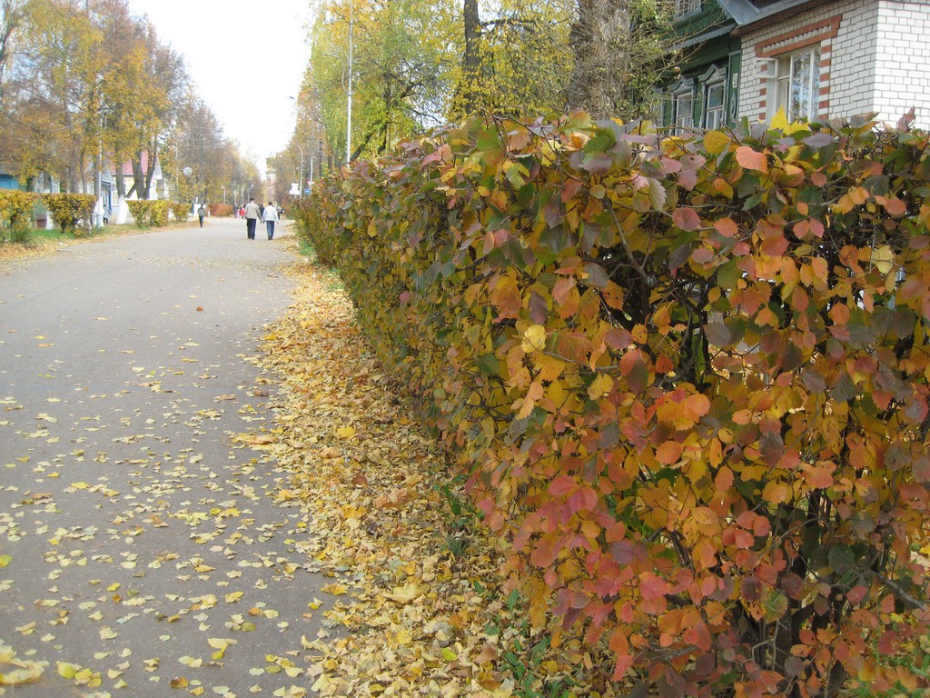 15.10.2008 14:53:54