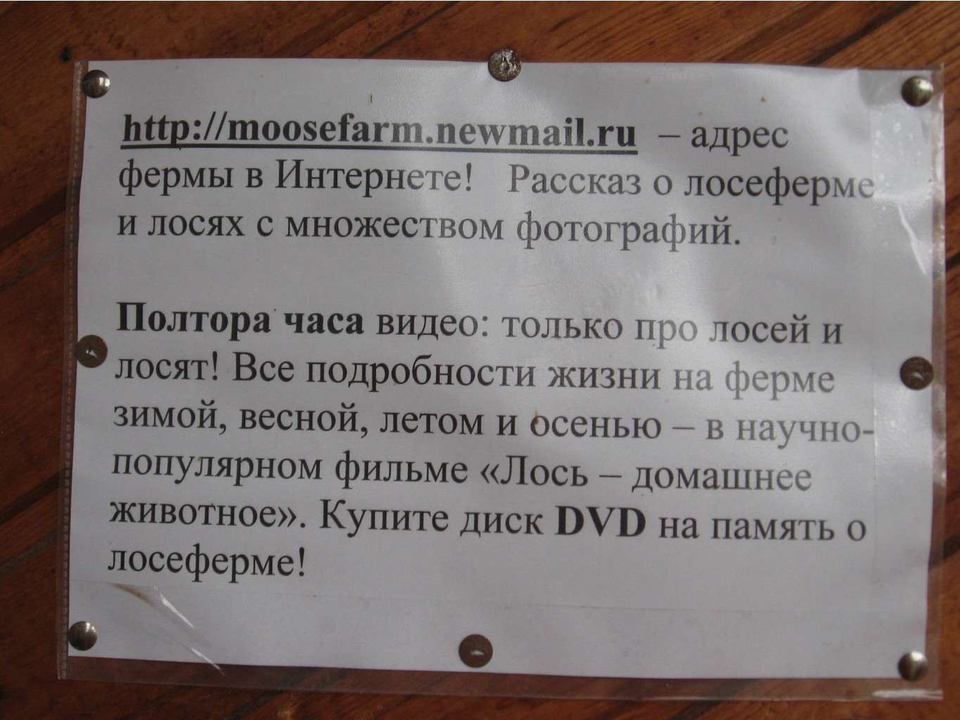 местная рекламка