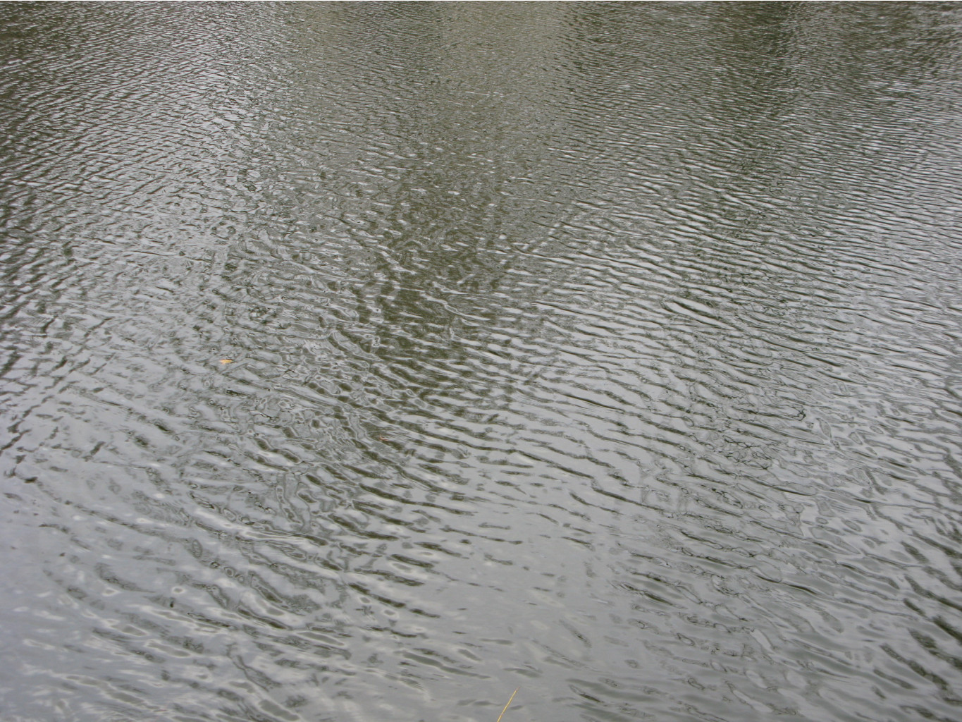20.10.2008 10:17:54