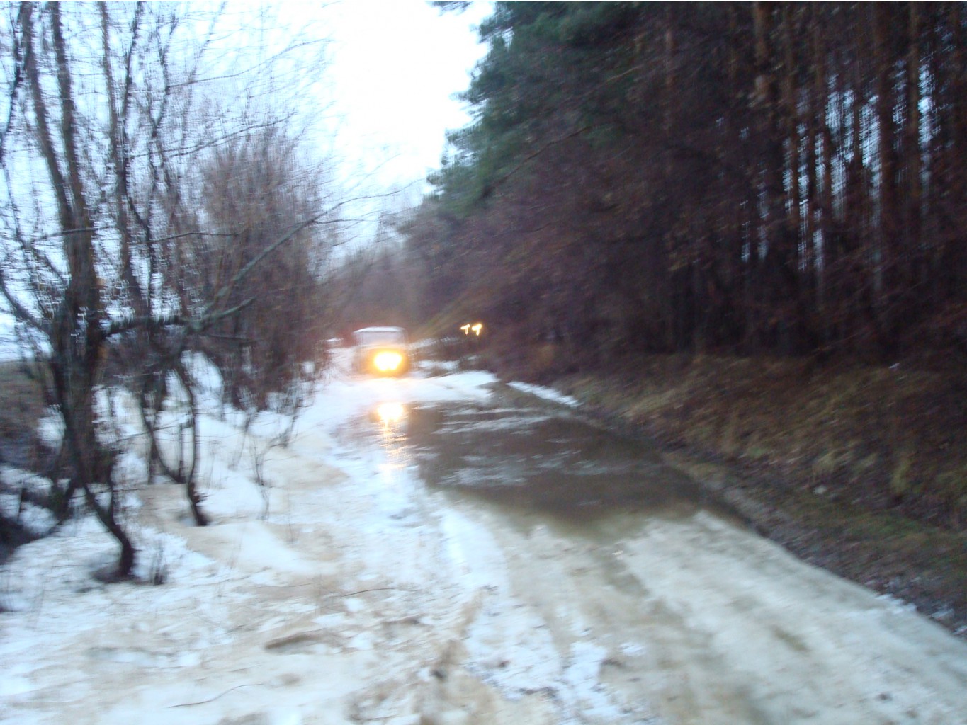 DSC08372.JPG