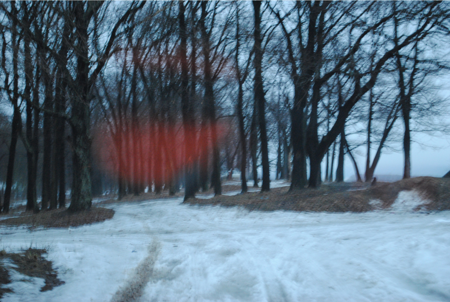 DSC_0023.jpg