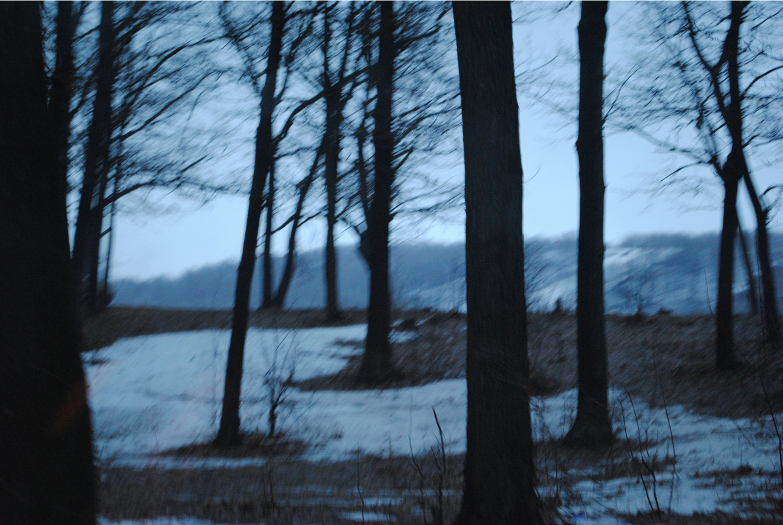 DSC_0025.jpg