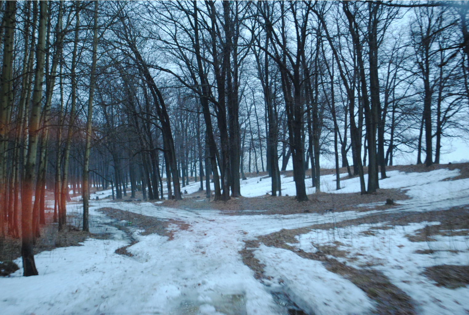 DSC_0026.jpg