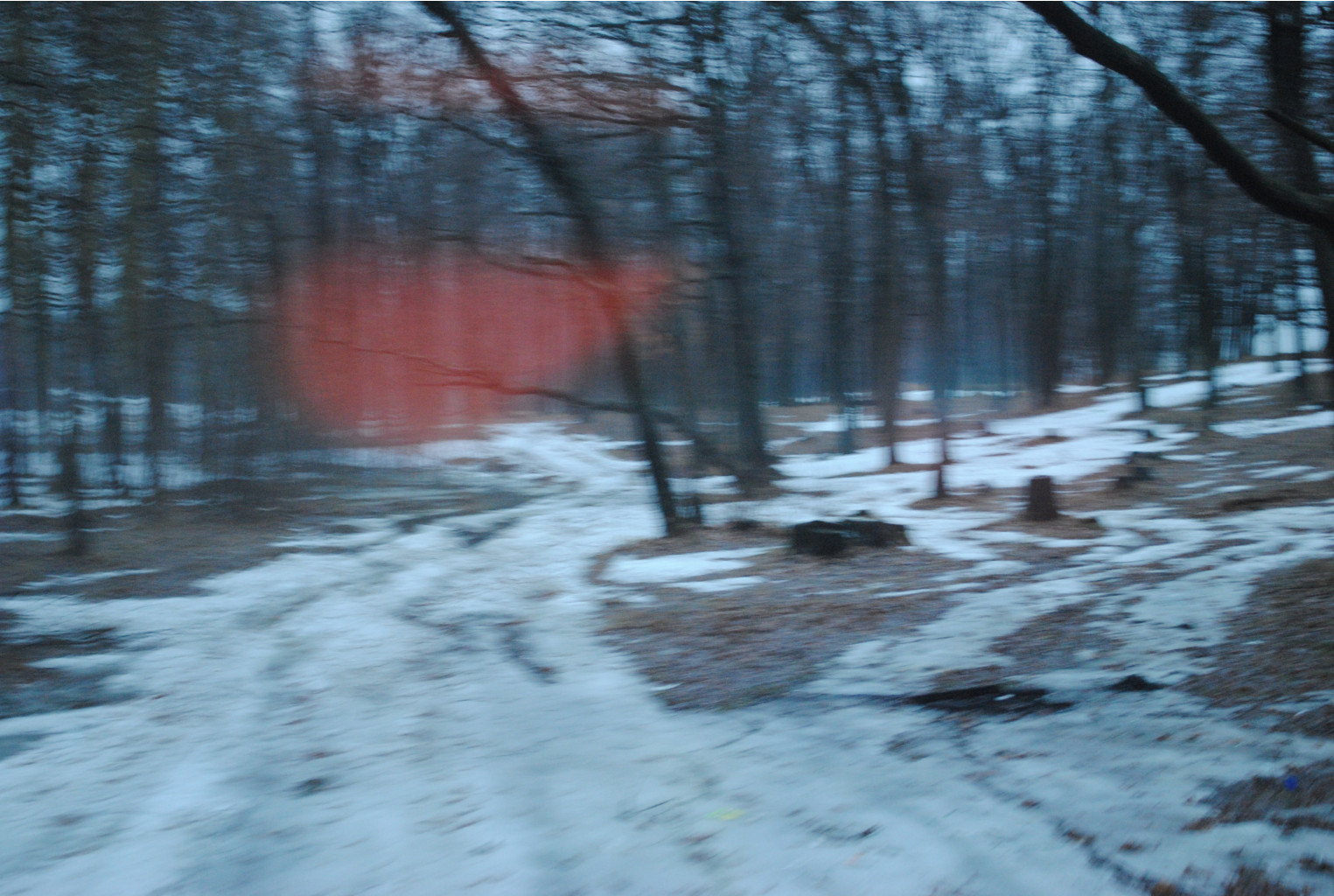 DSC_0027.jpg