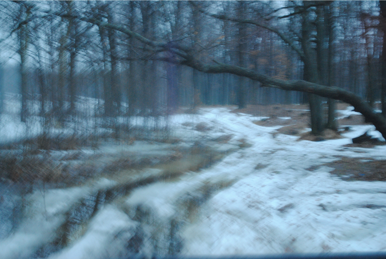DSC_0028.jpg