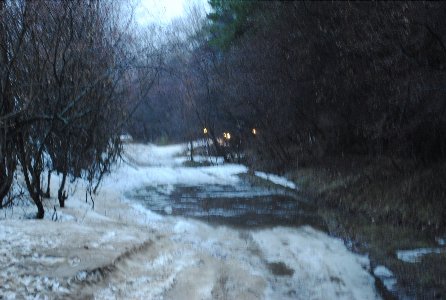 DSC_0030.jpg