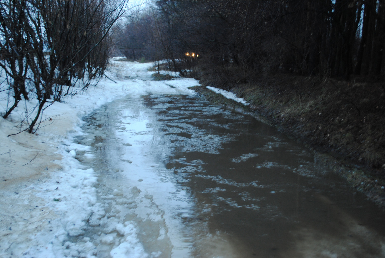 DSC_0032.jpg