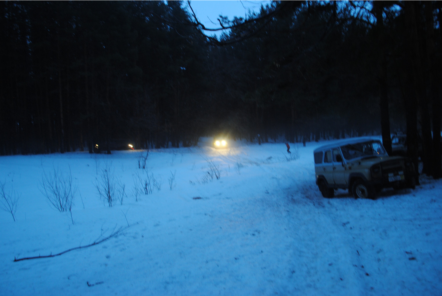 DSC_0048.jpg