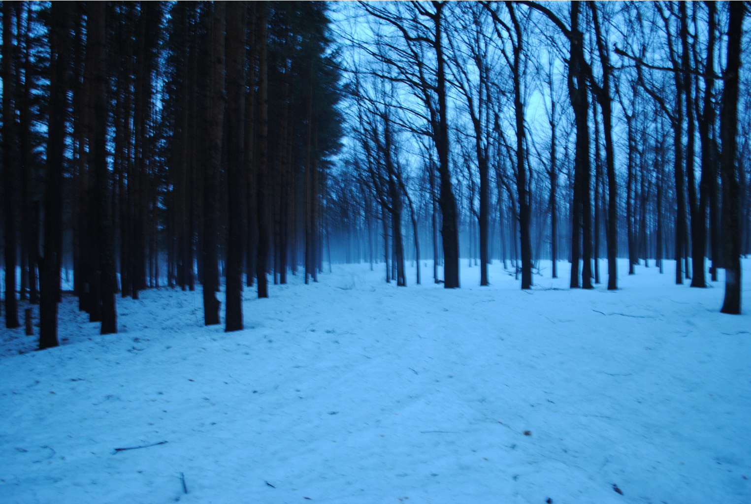 DSC_0049.jpg
