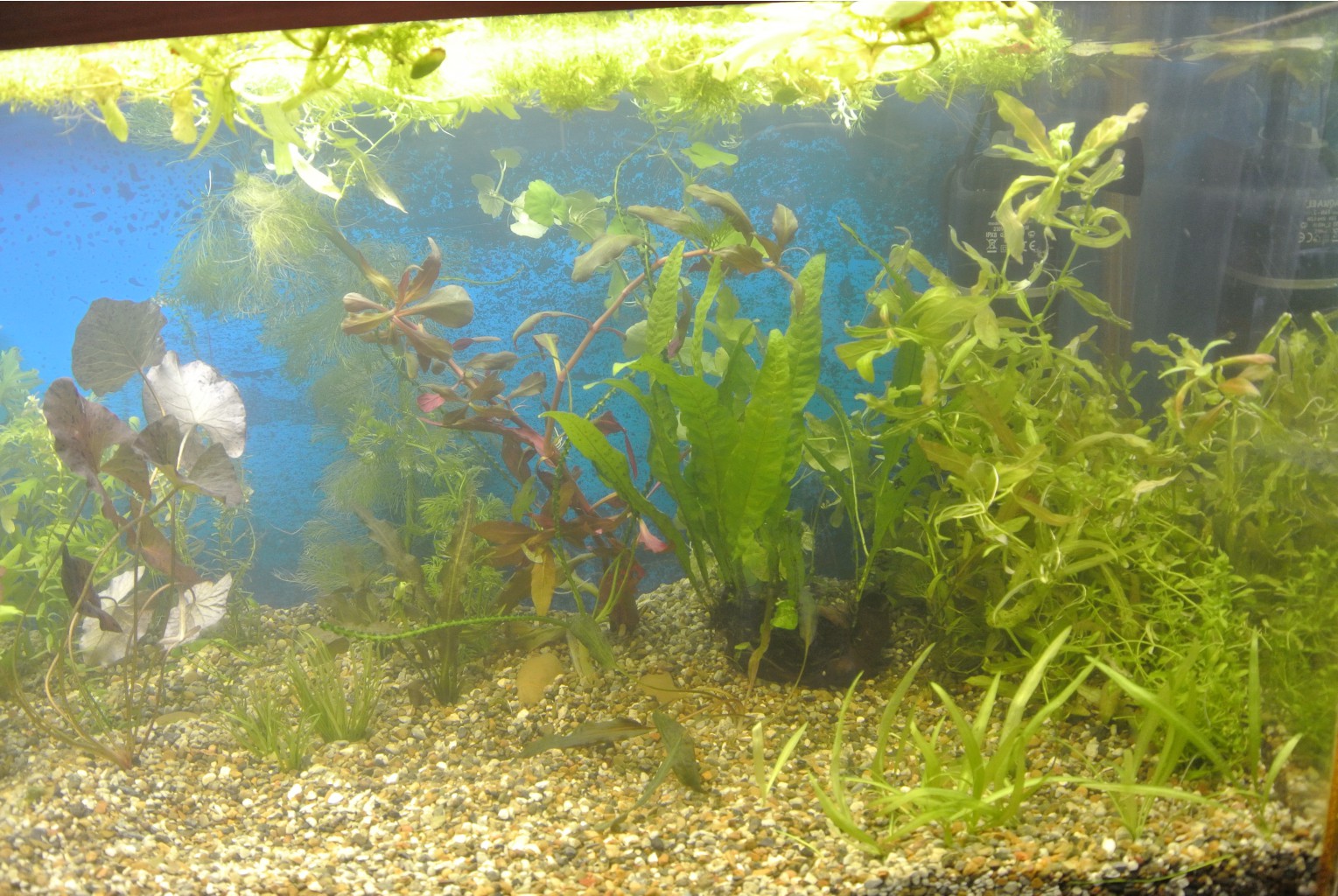 DSC_1224.JPG