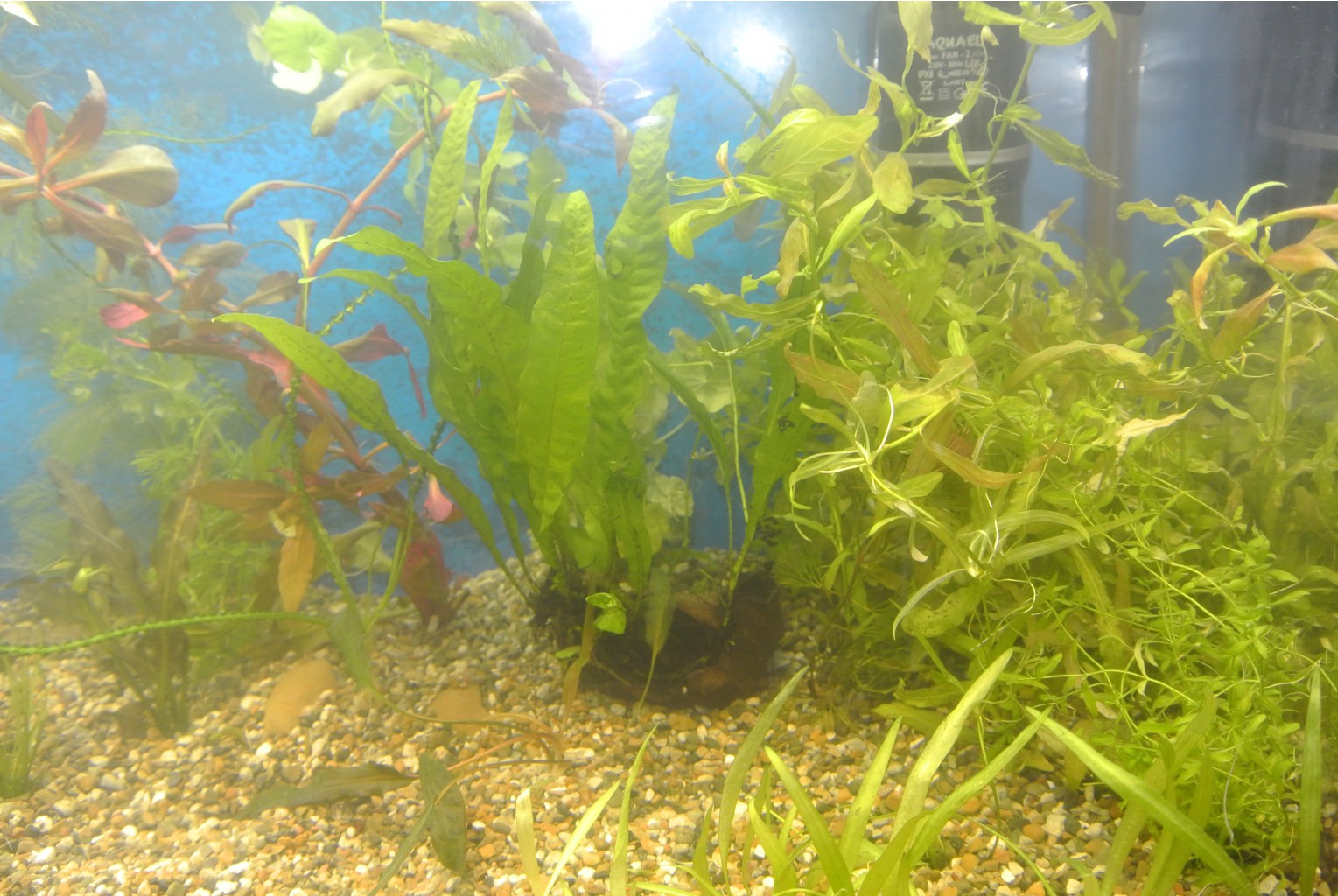 DSC_1226.JPG