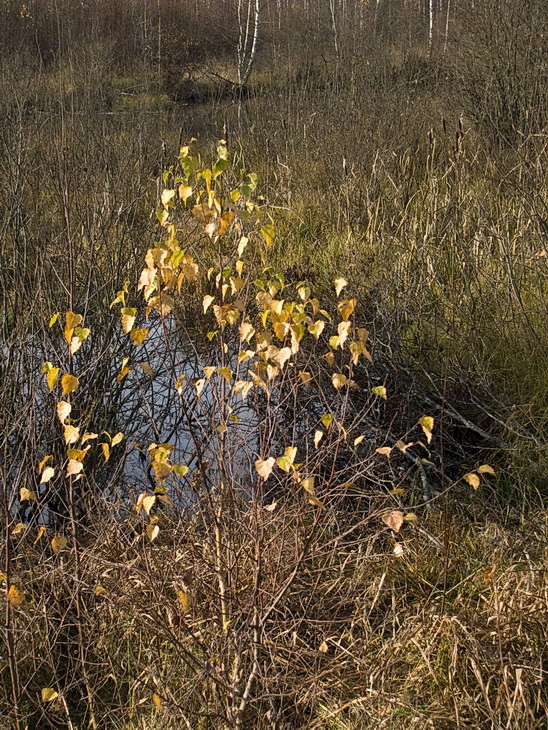 27.10.2008 23:35:37