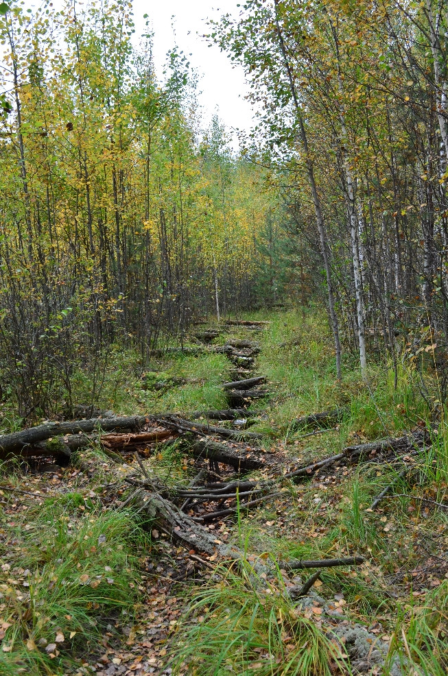 DSC_0939.JPG