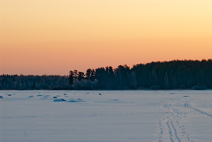 _A170141.jpg