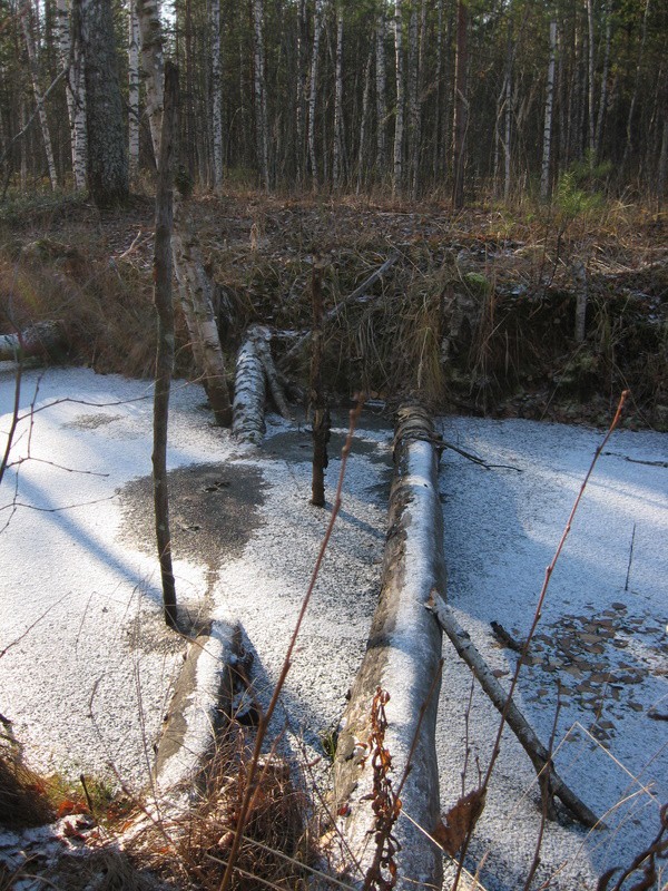 IMG_0585.JPG