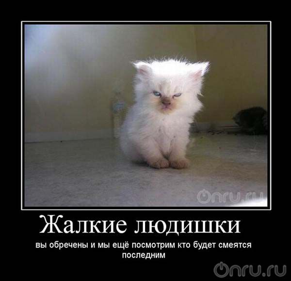 0l088f.jpg