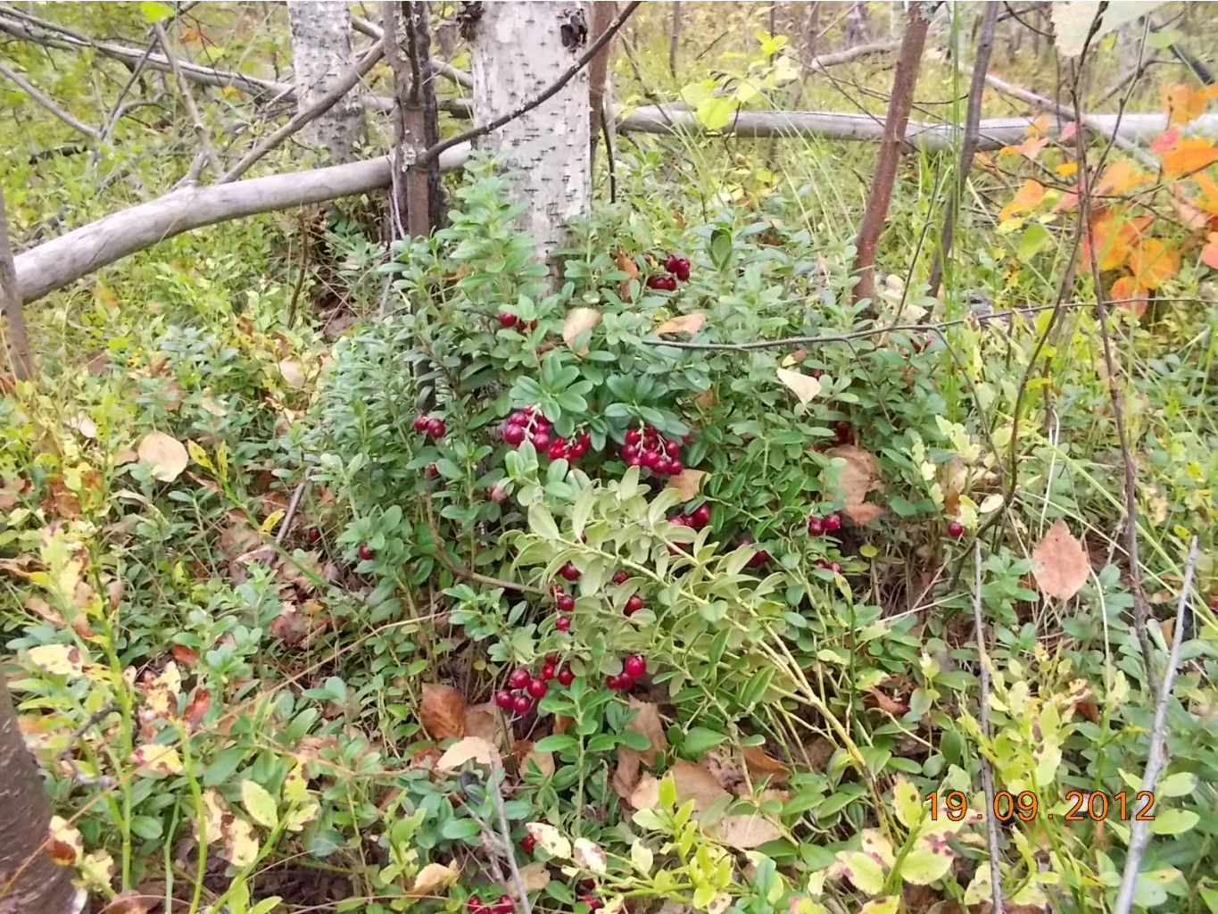 DSCN0123.JPG