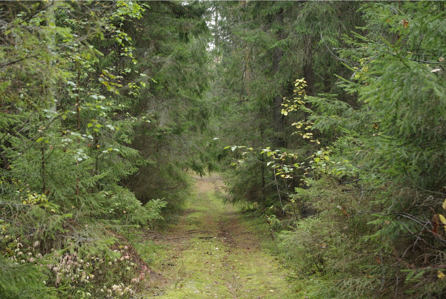 _IGP2752.jpg