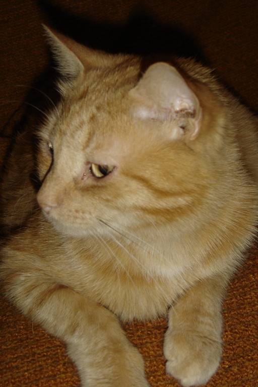 DSC09169.JPG