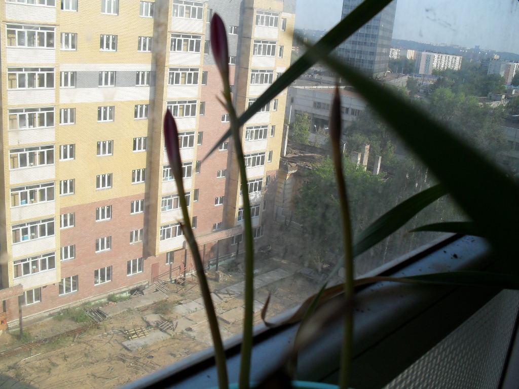 04.08.2010 16:36:57