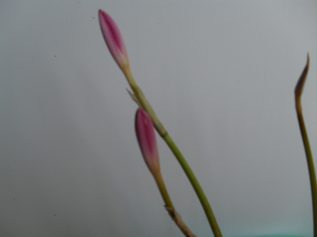 04.08.2010 16:36:59